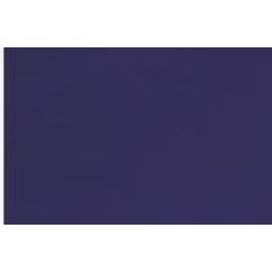 SERVILLETA 40x40 PUNTA-PUNTA 50 H. AZUL