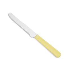 CUCHILLO ARVI M/PLASTICO MARFIL