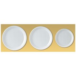PLATO PLASTICO 22 cm. LLANO B/100 uds. REUTILIZABLE